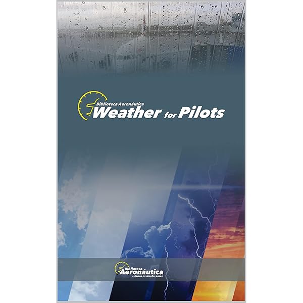 METAR TAF Weather Reports. Aviation weather. Pilot handbook